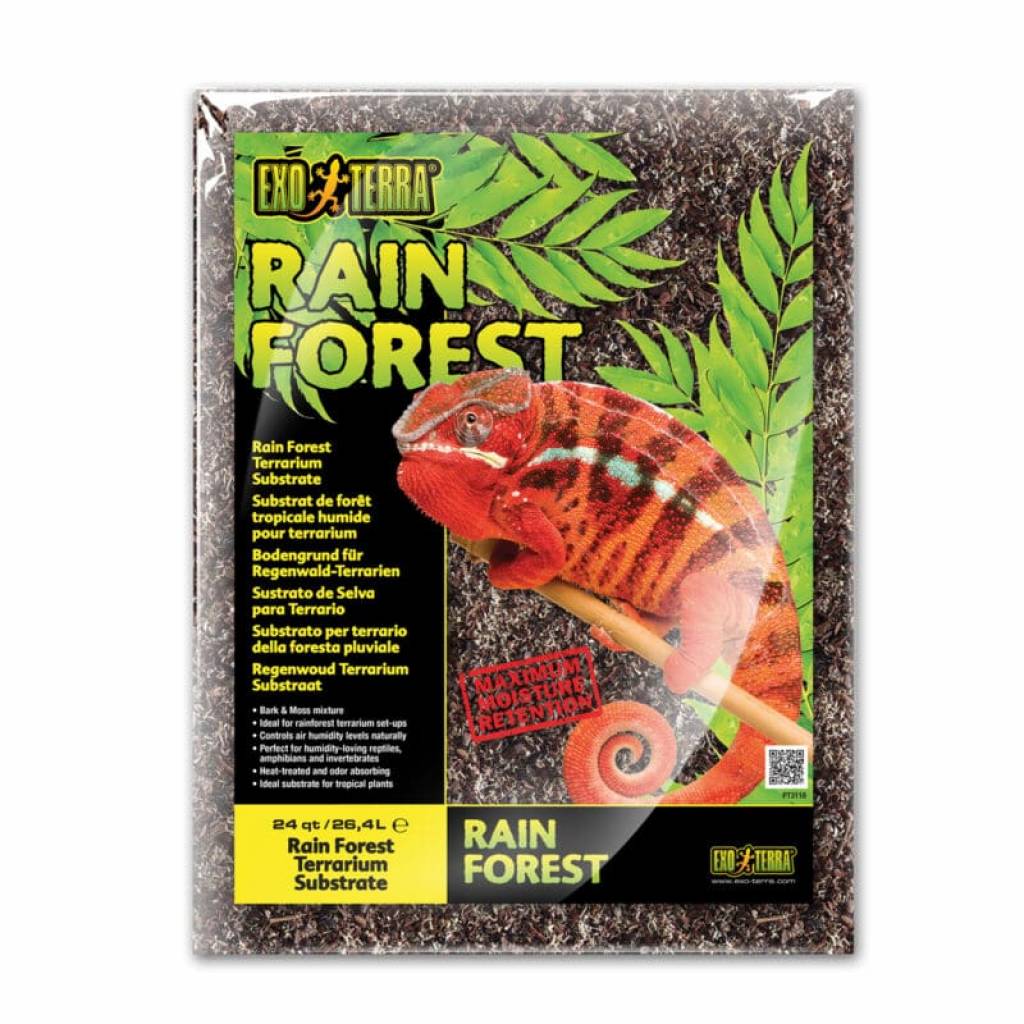 Exo Terra Rain Forest